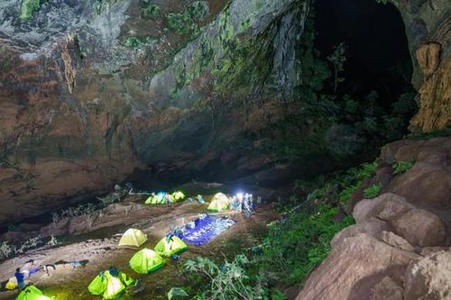 Hướng dẫn viên của Công ty Jungle Boss Tours quấy rối nữ du khách