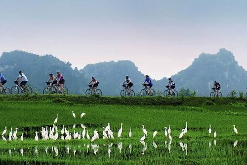 Việt Nam là điểm đến hoàn hảo dành cho gia đình