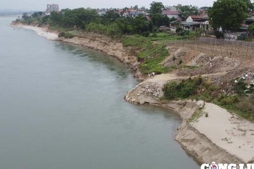 Tiếp tục sạt lở nghiêm trọng ở bờ sông Đà, 150 hộ dân ở Phú Thọ bị đe dọa