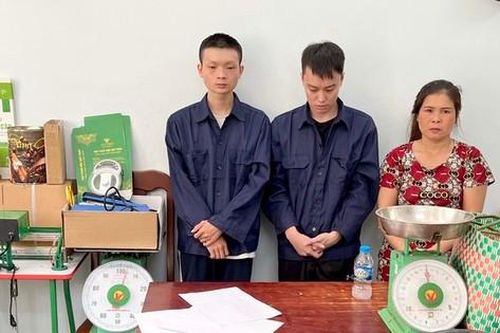 Phá đường dây trồng cần sa ở Đắk Lắk, đóng gói ở TPHCM