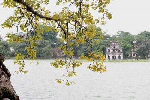 Thời tiết ngày 11/5/2023: Miền Bắc mưa trên diện rộng, nhiệt độ giảm