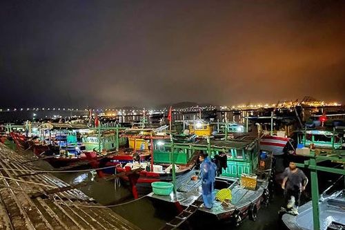 Bộ NN-PTNT: Trung Quốc cấm đánh cá trên Biển Đông là vô giá trị