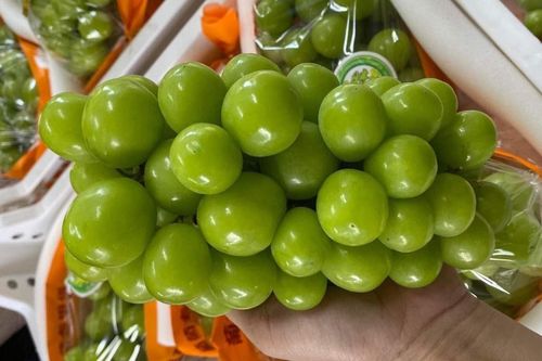 Giá cao hơn hàng Úc, nho Trung Quốc đổ bộ chợ bán 'đắt như tôm tươi'