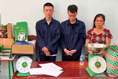 Công an TP.HCM bắt ổ nhóm trồng, bán cần sa khối lượng lớn