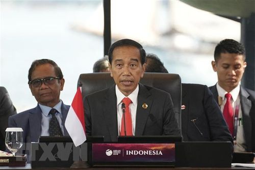Indonesia: Việc thực thi kế hoạch hòa bình Myanmar không đạt kết quả