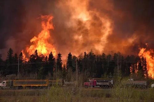 Nhiệt độ giảm giúp 'hạ nhiệt' các đám cháy rừng ở miền Tây Canada
