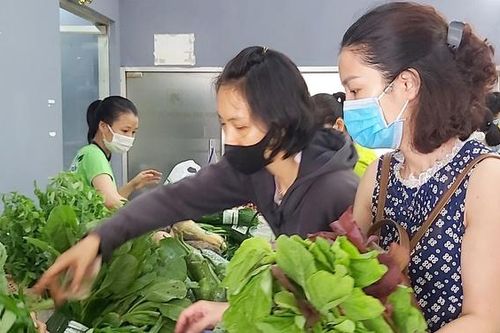 Phiên chợ xanh - tử tế thứ 300 có gì hấp dẫn?