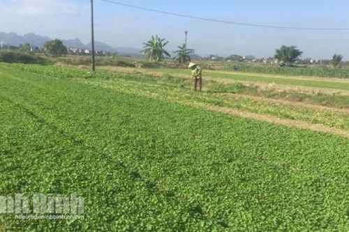 Rất ít hợp tác xã thành lập doanh nghiệp, góp vốn, mua cổ phần