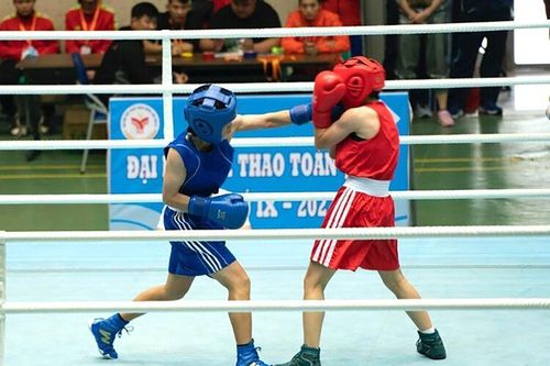 Sự tiến bộ của Boxing An Giang