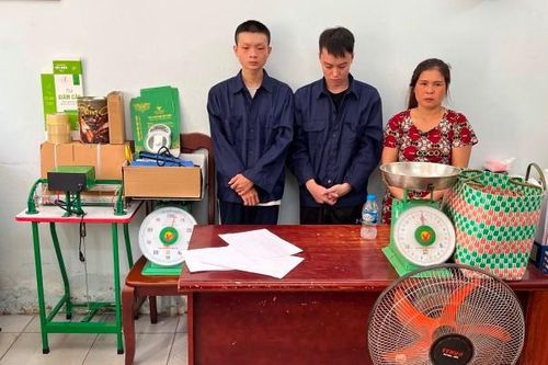 TP Hồ Chí Minh: Chặt đứt đường dây trồng, phân phối cần sa liên tỉnh