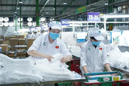 Tập đoàn An Phát Holdings: Chi phí nguyên vật liệu tăng, lợi nhuận quý 1/2023 giảm 57%