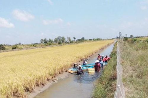 OCOP 'cất cánh' trên đất mũi Cà Mau