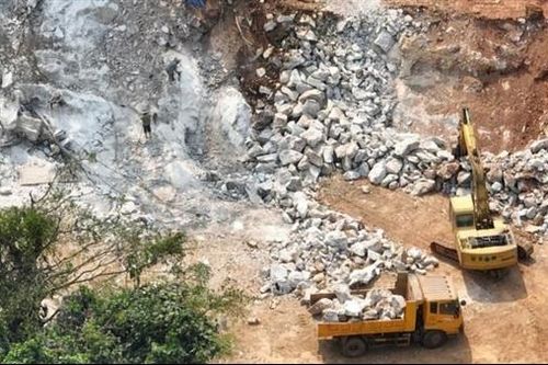 Xử phạt công ty bạt núi, phá rừng để làm trạm trung chuyển trâu bò