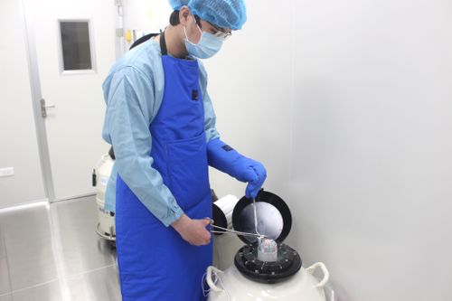 Chưa muốn lập gia đình và sinh con có nên trữ trứng?