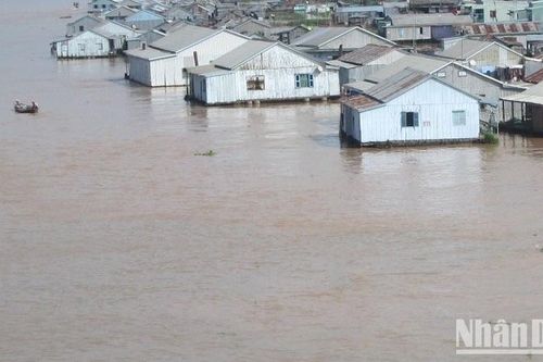 Xây dựng điểm du lịch 'Làng bè sắc màu ngã ba sông Châu Đốc'