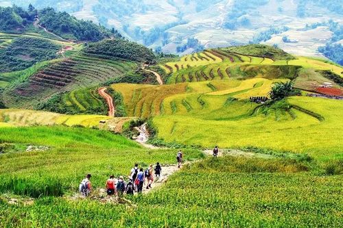Traveloka: Sa Pa là điểm đến yêu thích của du khách Đông Nam Á