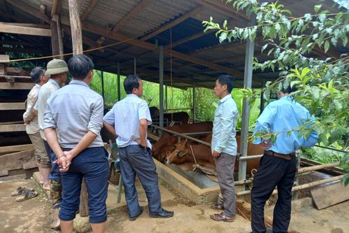 Nông thôn mới giúp giảm nghèo bền vững xã vùng cao ở Yên Bái