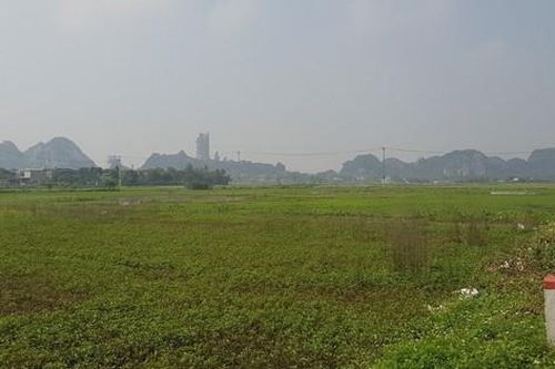 Ninh Bình vẫn giao 7,5ha đất khi chưa xác định giá, không qua đấu giá cho Tập đoàn Thành Thắng