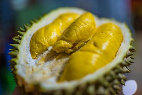 Bị lừa hết tiết kiệm cả đời vì ham sầu riêng giá rẻ