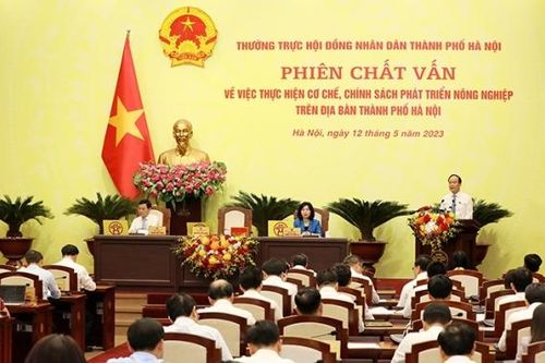 Hà Nội đã phát hiện hơn 800 nghìn trường hợp vi phạm trên đất nông nghiệp