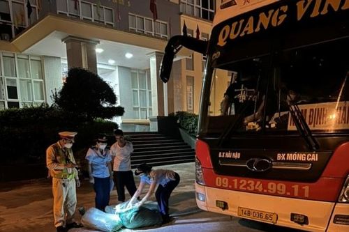 Tỉnh Quảng Ninh: Phát hiện 200 kg mỡ động vật bốc mùi đang được vận chuyển