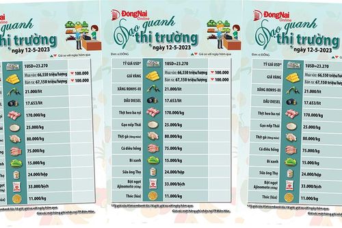 Dạo quanh thị trường 12-5-2023