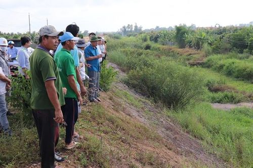 Cần làm đường dân sinh 2 bên đường cao tốc Mỹ Thuận - Cần Thơ