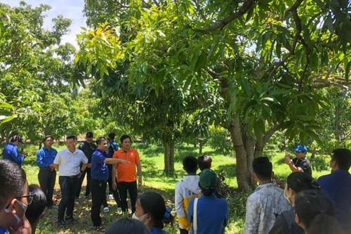 Tập huấn kiến thức lập nghiệp, khởi nghiệp cho 150 thanh niên