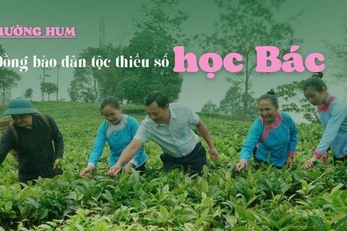 Đồng bào dân tộc thiểu số học Bác