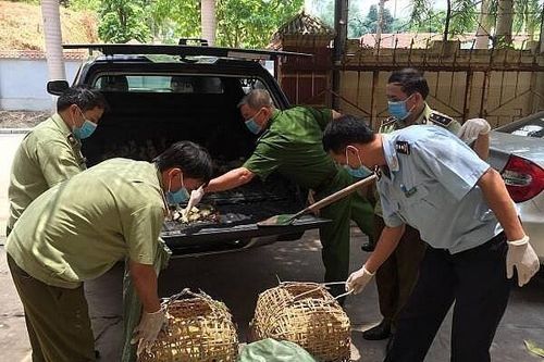 Tăng cường ngăn chặn vận chuyển trái phép gia cầm, sản phẩm gia cầm vào Việt Nam