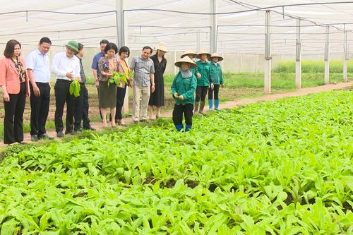 Thường trực HĐND thành phố Hà Nội chất vấn về lĩnh vực nông nghiệp