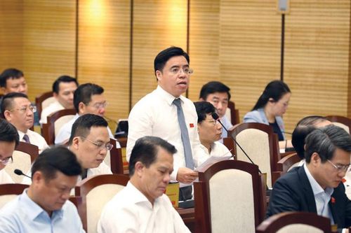 Xây dựng chính sách kêu gọi đầu tư trong lĩnh vực giết mổ tập trung
