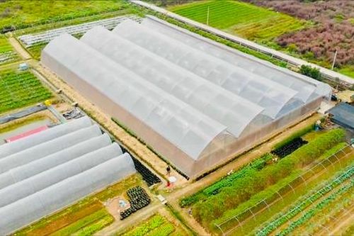 Biến đất hoang thành 'bờ xôi ruộng mật'