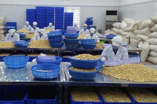 Tránh 'bão' lạm phát, xuất khẩu lại đối mặt rủi ro lừa đảo