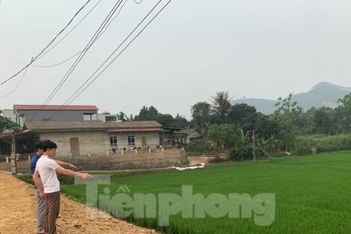 Dự án làm đường lấp mương thủy lợi khiến nhiều diện tích lúa có nguy cơ mất trắng