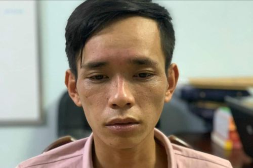 Bắt đối tượng gây ra hàng loạt vụ trộm cắp tài sản