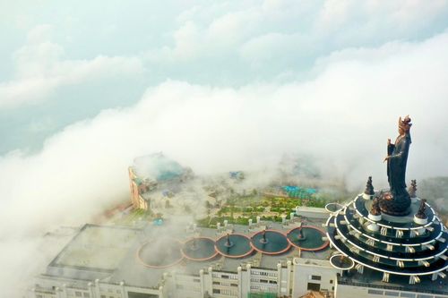 'Mũ mây' siêu hiếm tái xuất tại núi Bà Đen Tây Ninh