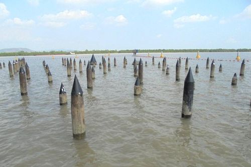 Đề nghị bổ sung Bãi cọc Bạch Đằng vào Hồ sơ Yên Tử trình UNESCO