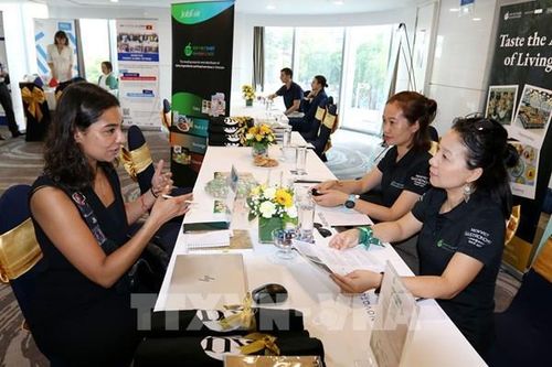 Thành phố Hồ Chí Minh: Hơn 200 cơ hội việc làm tại các công ty Pháp