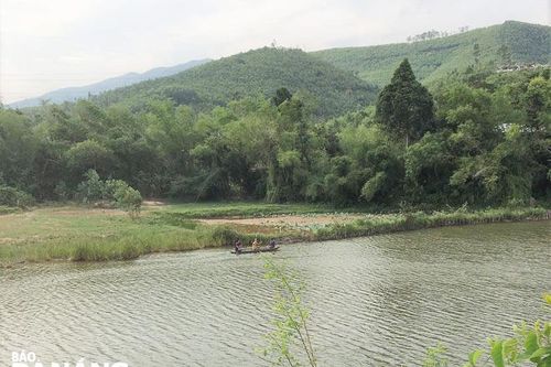 'Cá thần' Bàu Quyền