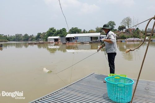 Cần thêm giải pháp bảo vệ nguồn nước sông, suối