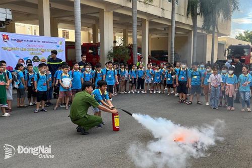 'Rục rịch' tìm lớp học hè cho con