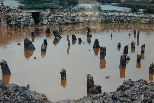 3 tỉnh đề nghị đưa Bãi cọc Bạch Đằng vào Hồ sơ di sản văn hóa Yên Tử