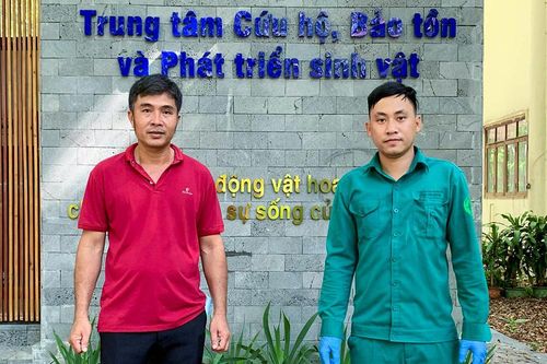 Vườn quốc gia Cát Tiên tiếp nhận cứu hộ kỳ đà vân quý hiếm có tên trong sách Đỏ