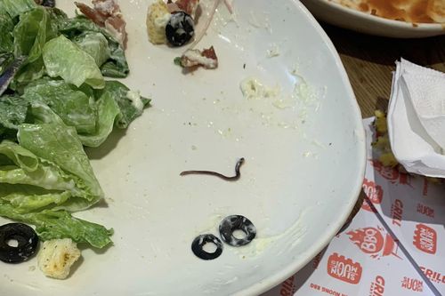 Đi ăn sườn, khách hàng hoảng hốt phát hiện 'sinh vật lạ' trong đĩa salad
