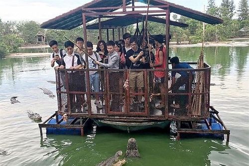 Sợ hãi cảnh khách du lịch cho cá sấu đói ăn thịt
