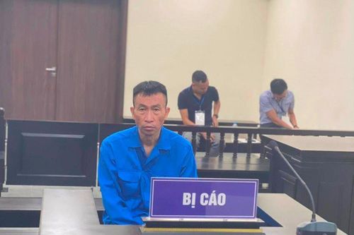 Lừa nhận cọc dự án BOT, giám đốc doanh nghiệp lĩnh án 8 năm tù