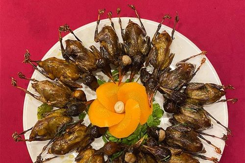 Hãy cứu lấy chim trời! - Bài 2: Món nhậu trong nhiều nhà hàng