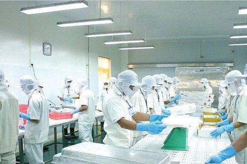 'Làn sóng' mua bán cổ phiếu tại gia đình Chủ tịch Thủy sản Cửu Long An Giang