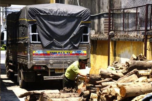 Hạt Kiểm lâm Diên Khánh: Tạm giữ 1 xe ô tô chở gỗ trái phép